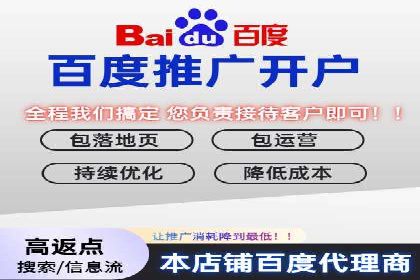 SEM广告创意与优化：成功案例分享